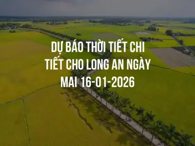 Dự báo thời tiết chi tiết cho Long An ngày mai 16-01-2026