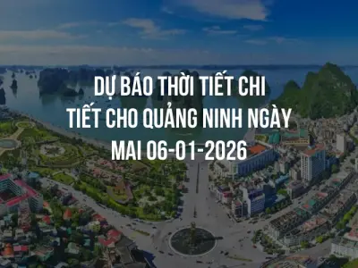 Dự báo thời tiết chi tiết cho Quảng Ninh ngày mai 06-01-2026