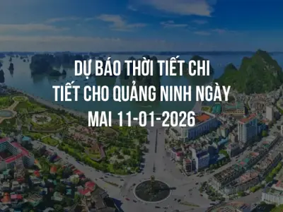Dự báo thời tiết chi tiết cho Quảng Ninh ngày mai 11-01-2026