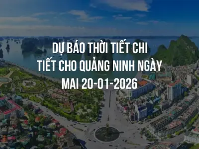Dự báo thời tiết chi tiết cho Quảng Ninh ngày mai 20-01-2026