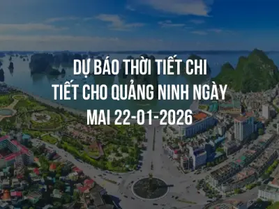 Dự báo thời tiết chi tiết cho Quảng Ninh ngày mai 22-01-2026