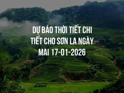Dự báo thời tiết chi tiết cho Sơn La ngày mai 17-01-2026