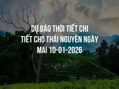Dự báo thời tiết chi tiết cho Thái Nguyên ngày mai 10-01-2026