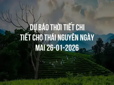 Dự báo thời tiết chi tiết cho Thái Nguyên ngày mai 26-01-2026