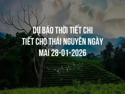 Dự báo thời tiết chi tiết cho Thái Nguyên ngày mai 28-01-2026