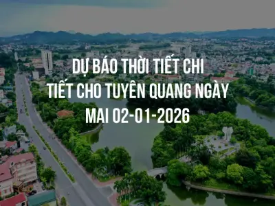 Dự báo thời tiết chi tiết cho Tuyên Quang ngày mai 02-01-2026