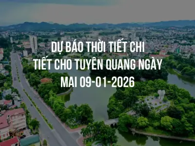 Dự báo thời tiết chi tiết cho Tuyên Quang ngày mai 09-01-2026