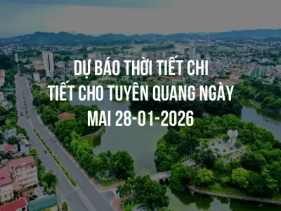Dự báo thời tiết chi tiết cho Tuyên Quang ngày mai 28-01-2026