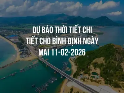 Dự báo thời tiết chi tiết cho Bình Định ngày mai 11-02-2026