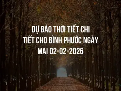 Dự báo thời tiết chi tiết cho Bình Phước ngày mai 02-02-2026