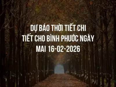 Dự báo thời tiết chi tiết cho Bình Phước ngày mai 16-02-2026