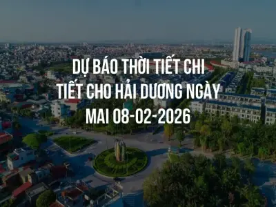 Dự báo thời tiết chi tiết cho Hải Dương ngày mai 08-02-2026