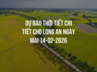 Dự báo thời tiết chi tiết cho Long An ngày mai 14-02-2026