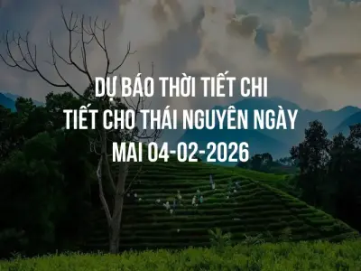 Dự báo thời tiết chi tiết cho Thái Nguyên ngày mai 04-02-2026