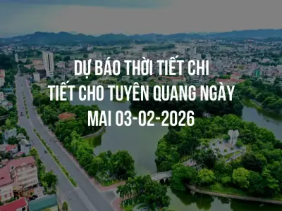 Dự báo thời tiết chi tiết cho Tuyên Quang ngày mai 03-02-2026