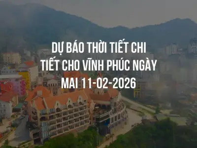 Dự báo thời tiết chi tiết cho Vĩnh Phúc ngày mai 11-02-2026