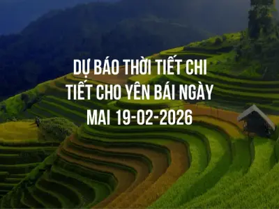 Dự báo thời tiết chi tiết cho Yên Bái ngày mai 19-02-2026