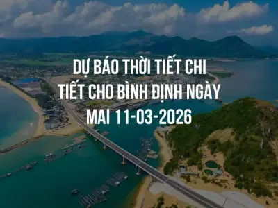 Dự báo thời tiết chi tiết cho Bình Định ngày mai 11-03-2026