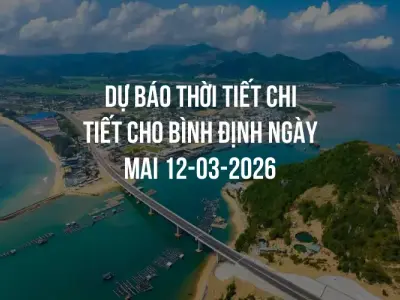 Dự báo thời tiết chi tiết cho Bình Định ngày mai 12-03-2026