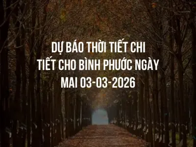 Dự báo thời tiết chi tiết cho Bình Phước ngày mai 03-03-2026