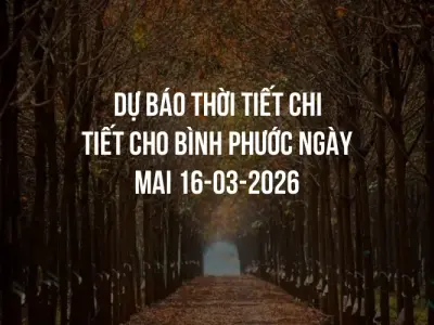 Dự báo thời tiết chi tiết cho Bình Phước ngày mai 16-03-2026