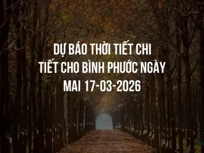 Dự báo thời tiết chi tiết cho Bình Phước ngày mai 17-03-2026