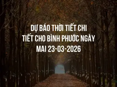 Dự báo thời tiết chi tiết cho Bình Phước ngày mai 23-03-2026