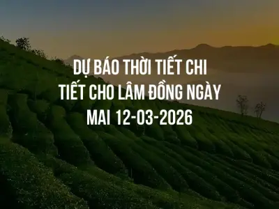 Dự báo thời tiết chi tiết cho Lâm Đồng ngày mai 12-03-2026