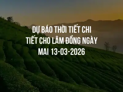 Dự báo thời tiết chi tiết cho Lâm Đồng ngày mai 13-03-2026
