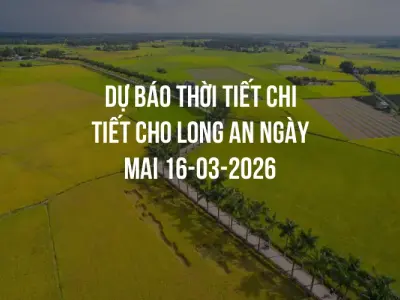Dự báo thời tiết chi tiết cho Long An ngày mai 16-03-2026