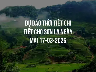 Dự báo thời tiết chi tiết cho Sơn La ngày mai 17-03-2026