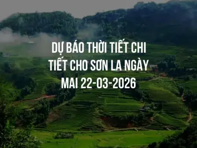 Dự báo thời tiết chi tiết cho Sơn La ngày mai 22-03-2026