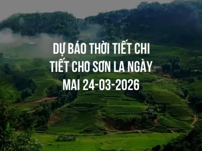 Dự báo thời tiết chi tiết cho Sơn La ngày mai 24-03-2026