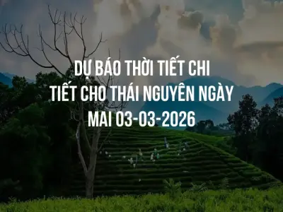 Dự báo thời tiết chi tiết cho Thái Nguyên ngày mai 03-03-2026