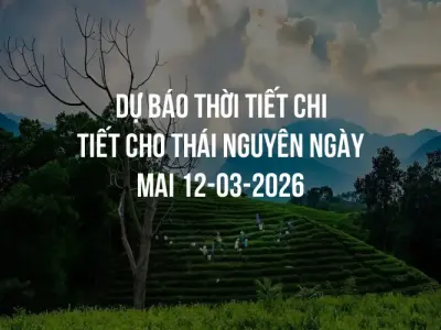 Dự báo thời tiết chi tiết cho Thái Nguyên ngày mai 12-03-2026