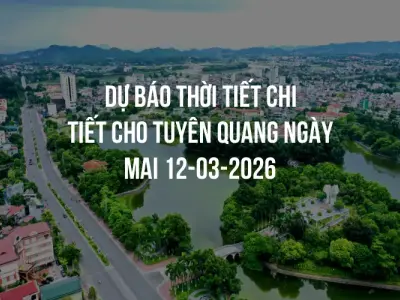Dự báo thời tiết chi tiết cho Tuyên Quang ngày mai 12-03-2026