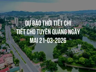 Dự báo thời tiết chi tiết cho Tuyên Quang ngày mai 21-03-2026