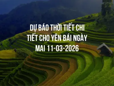 Dự báo thời tiết chi tiết cho Yên Bái ngày mai 11-03-2026