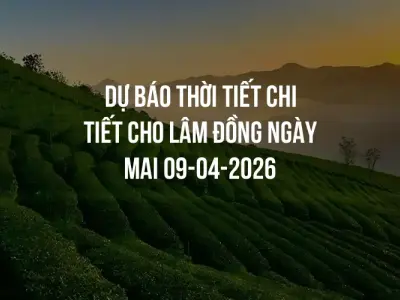 Dự báo thời tiết chi tiết cho Lâm Đồng ngày mai 09-04-2026