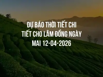 Dự báo thời tiết chi tiết cho Lâm Đồng ngày mai 12-04-2026