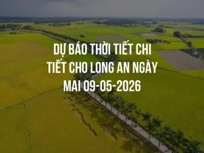 Dự báo thời tiết chi tiết cho Long An ngày mai 09-05-2026