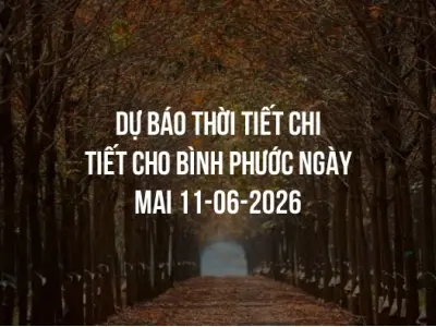Dự báo thời tiết chi tiết cho Bình Phước ngày mai 11-06-2026