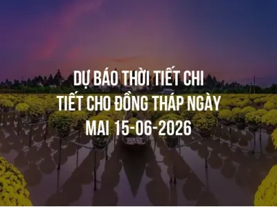 Dự báo thời tiết chi tiết cho Đồng Tháp ngày mai 15-06-2026