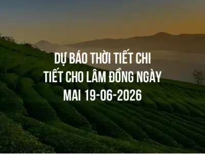 Dự báo thời tiết chi tiết cho Lâm Đồng ngày mai 19-06-2026