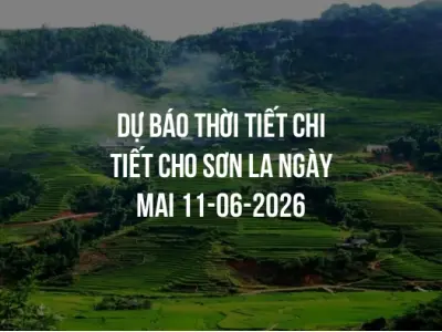 Dự báo thời tiết chi tiết cho Sơn La ngày mai 11-06-2026