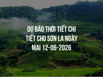 Dự báo thời tiết chi tiết cho Sơn La ngày mai 12-06-2026