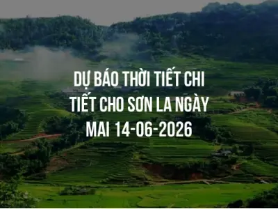 Dự báo thời tiết chi tiết cho Sơn La ngày mai 14-06-2026