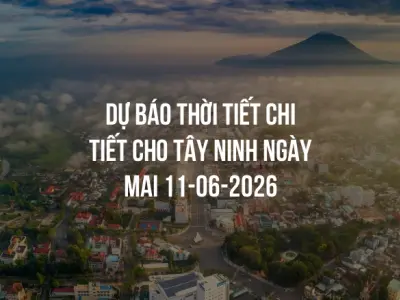 Dự báo thời tiết chi tiết cho Tây Ninh ngày mai 11-06-2026
