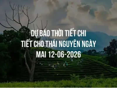 Dự báo thời tiết chi tiết cho Thái Nguyên ngày mai 12-06-2026
