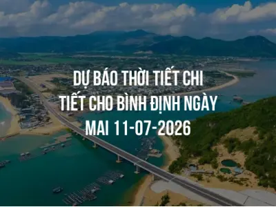 Dự báo thời tiết chi tiết cho Bình Định ngày mai 11-07-2026